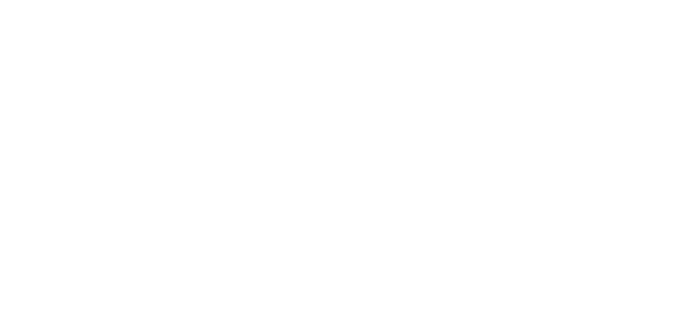 new logo STER 2014 biale